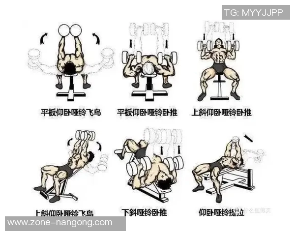 有效提升上胸肌的哑铃锻炼技巧与方法分享